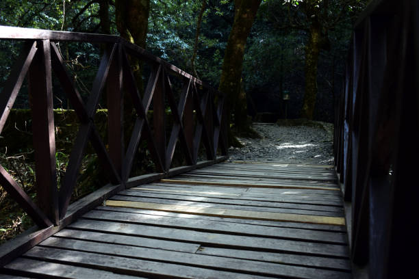 istock Old wooden bridge at jungle. Selective focus 1312089886