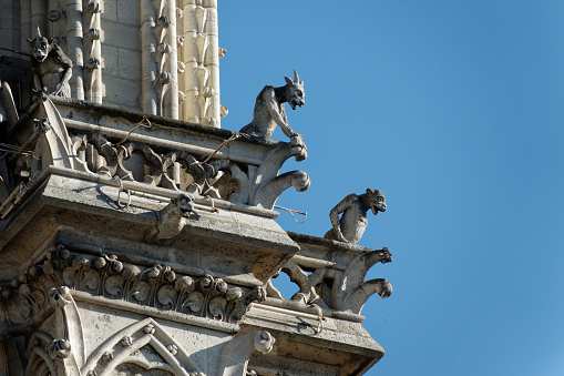 Close up of gargoyles of Notre Dame on blue sky backgrouns in Paris, France