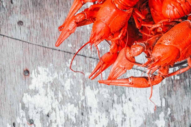 istock Hot delicious crayfish with a plate on rustic background. Delicious red boiled crayfishes on table, closeup. Banner design 1312091787