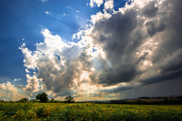 istock Rural landscape, nature and environment. 1312093509