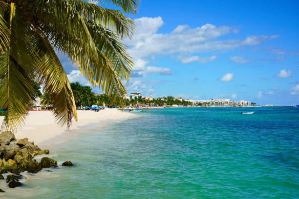 istock Playa del Carmen beach, Mexico 1312094756