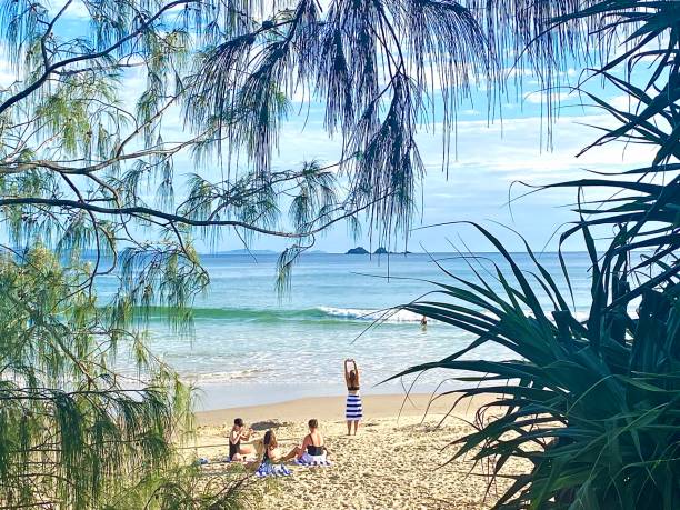 vacanze degli amici in spiaggia - surfing new south wales beach australia foto e immagini stock