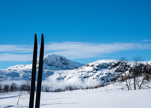 Skis stacked together in the snow with blurred snow capped mountains in the background. Shallow depth of field.