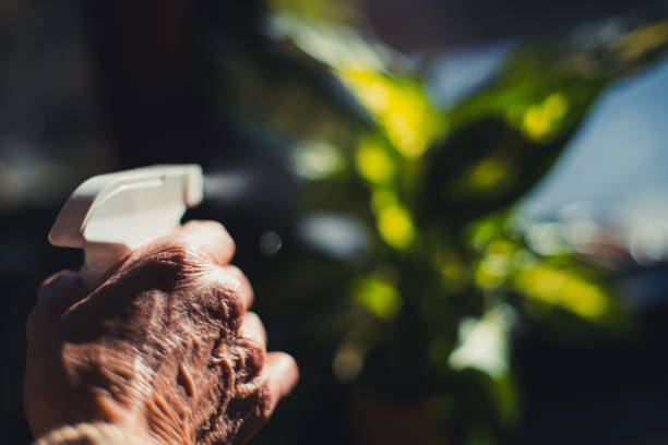 istock Hanging out with plants 1312099973