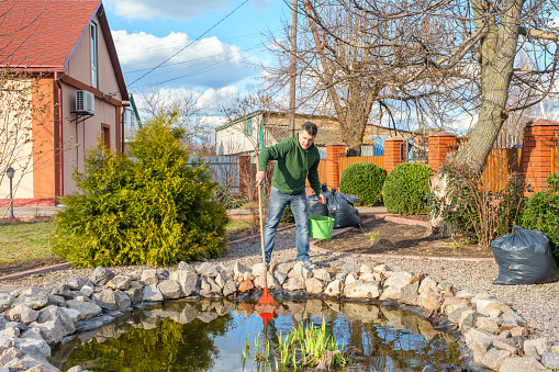 Mature caucasian man cleans a garden pond from water plants and falling leaves and place them into a bucket. Spring seasonal fish pond care after winter.