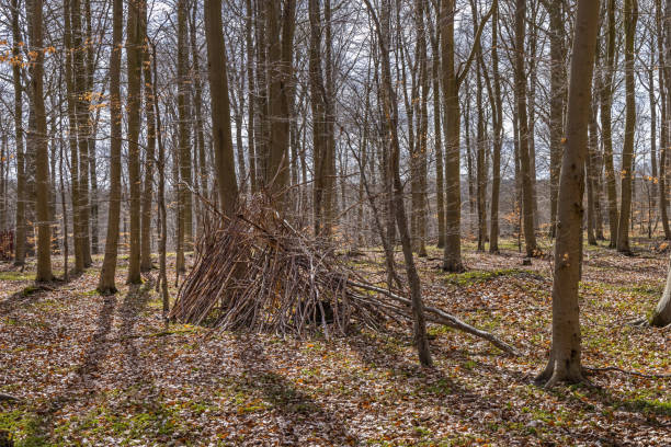 istock Children's play hut in an open forest. 1312106069