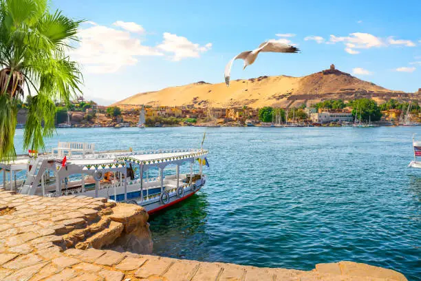 Moored touristic boats on river Nile in Aswan