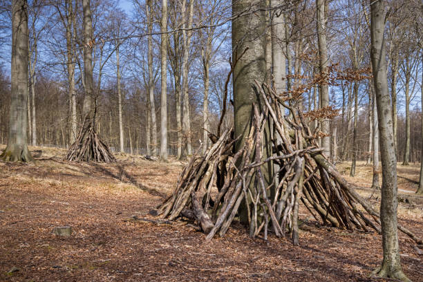 istock Children's play hut in an open forest. 1312106374