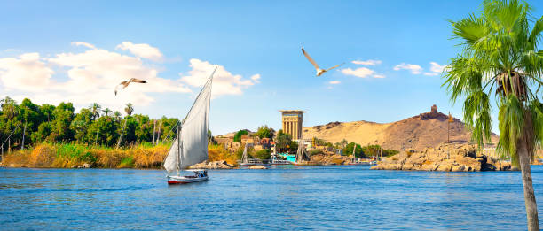 View of Aswan View of majestic Aswan, city on river Nile cruise vacation photos stock pictures, royalty-free photos & images