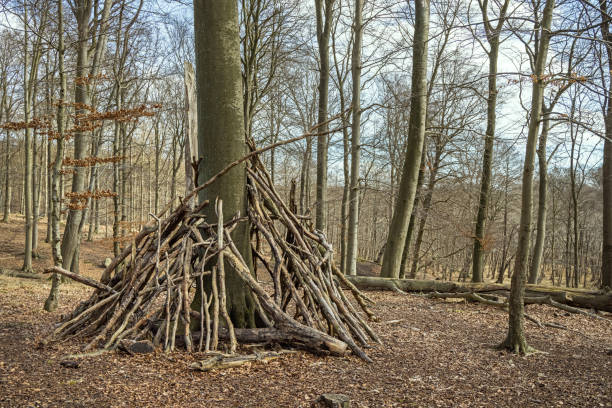 istock Children's play hut in an open forest. 1312106593