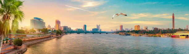 istock Downtown of Cairo 1312106810