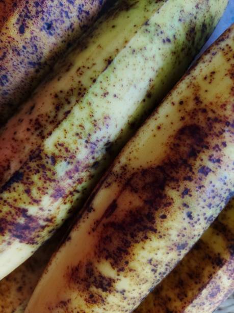 Ripe Banana Horn