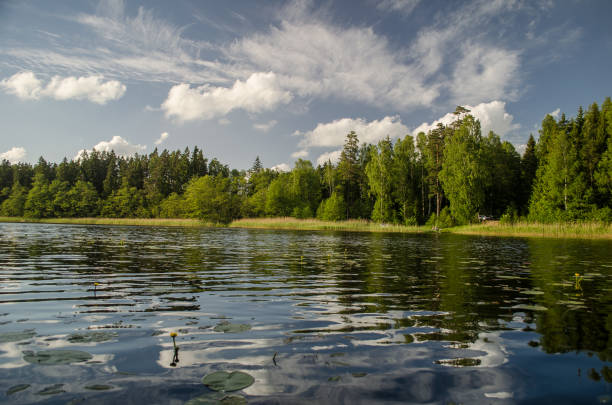 istock Beautiful evening view with lake, reflections in the water and clouds 1312107632