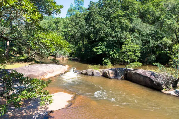 River among trees and bushes. Mara river in Masai Mara. Kenya, Africa. Seen at game drive. Tourim and vacations concept.