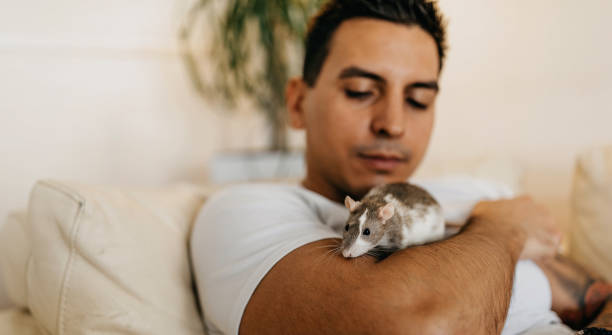 homme tatoué bel avec son ami de souris - rat race photos et images de collection