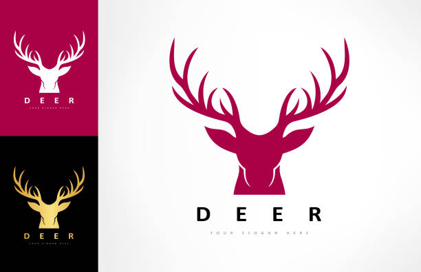 ilustraciones, imágenes clip art, dibujos animados e iconos de stock de vector de cabeza de ciervo. diseño de animales. - stags horn