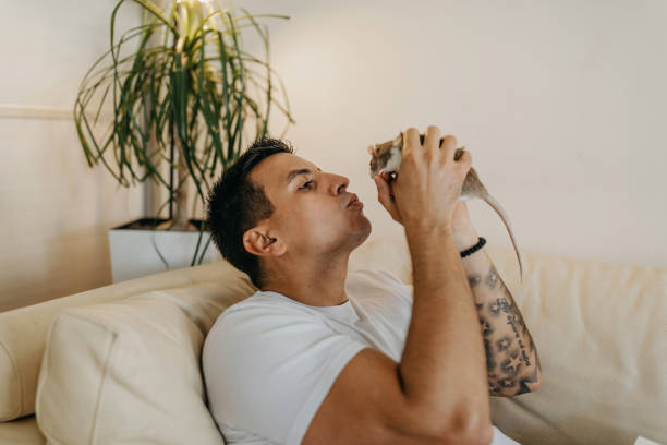 istock Handsome tattooed man with his mice friend 1312108209