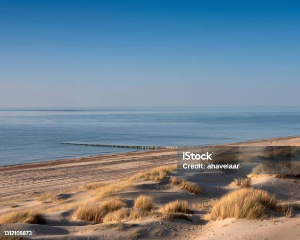 Dunes And Almost Deserted Beach On Dutch Coast Near Renesse In Zeeland Under Blue Sky Stock Photo - Download Image Now