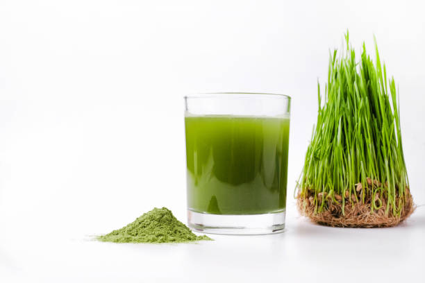 green barley sprout grass and bowl of green detox powder, glass of smoothie  isolated on white. copyspace. - barley grass imagens e fotografias de stock