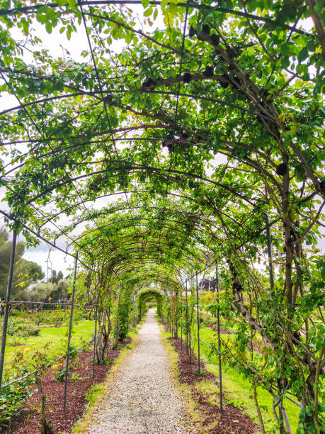 istock rose garden pergola 1312110677