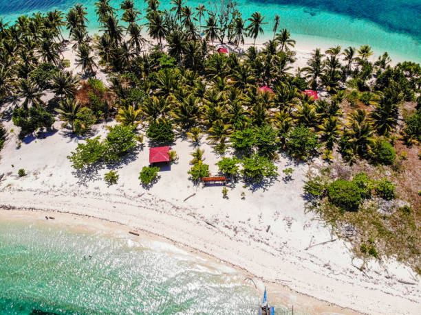 istock Palawan Island Aerial View 7 1312110810