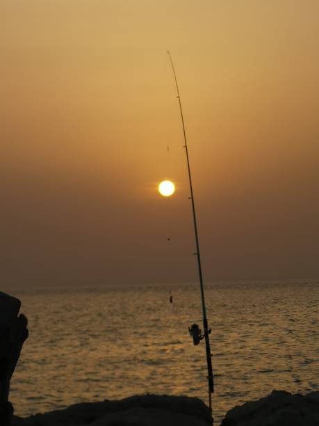 istock Sun Rise Fishing 1312111727