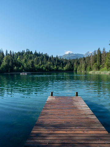 Wooden pier, Pine forest, reflection on water surface