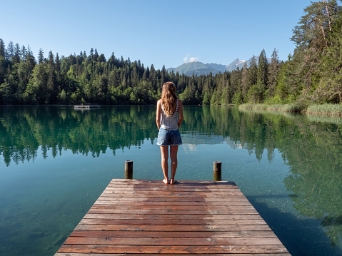 Summertime, pine trees and mountains in distance