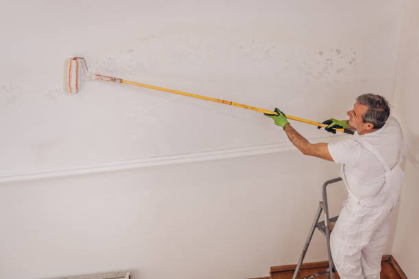 istock Mature male painter painting a wall 1312115435