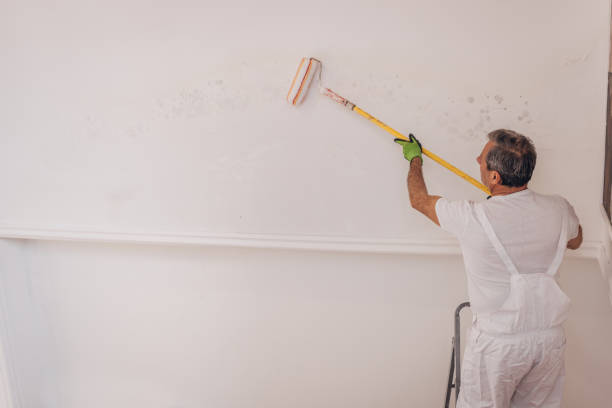 istock Mature male painter painting a wall 1312115446