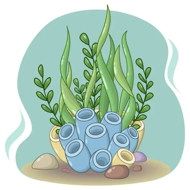 Vector illustration of Vector composition of blue and yellow sea corals, stones and many green seaweeds on a turquoise background