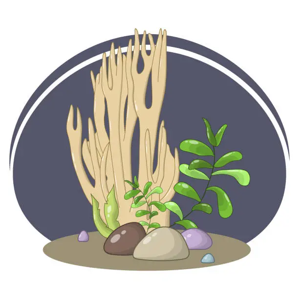 Vector illustration of Vector composition of large yellow corals, sea foliage, algae and stones on a dark blue oval background