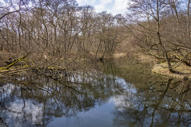 Large stream of water called Mølleåen, one of Denmarks largest streams in early spring