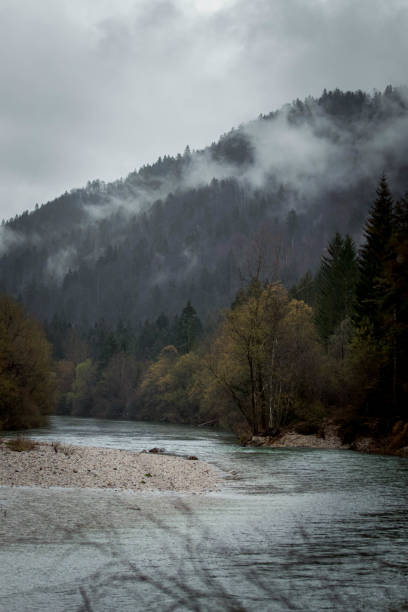 istock Photos of nature in rain 1312116799