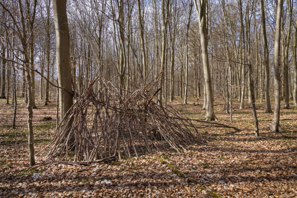istock Children's play hut in an open forest. 1312116801