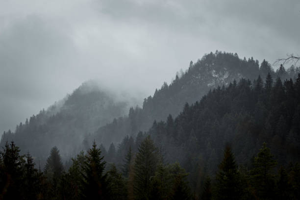 istock Photos of nature in rain 1312116880