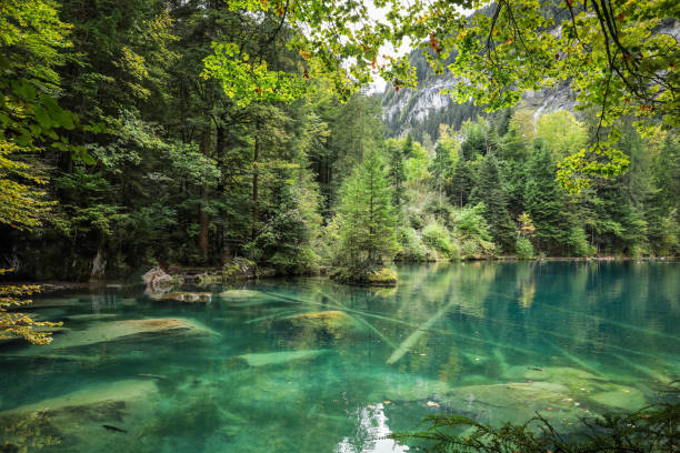 istock Lake in the Mountains 1312122256