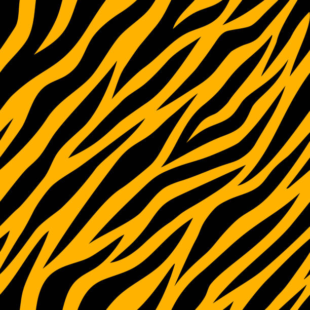 ilustracja tła wzoru tygrysa - variegated close up textured sharp stock illustrations