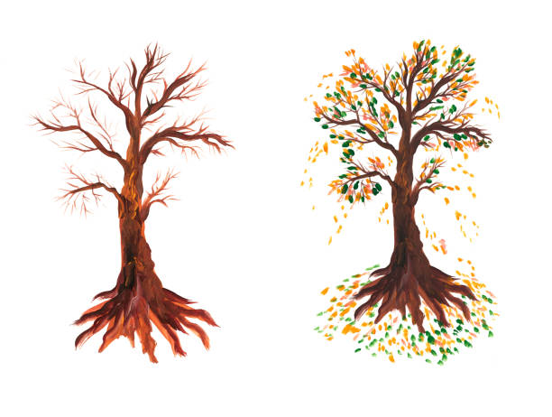 istock Set of trees. Fall of yellow leaves and a tree without foliage. Autumn and withered dead tree. Nature. ecology. Plants. Watercolor illustration in a realistic style. 1312123106