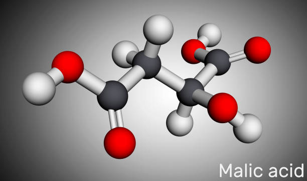 Malic acid C4H6O5 molecule, is dicarboxylic acid. Molecular model. 3D rendering Malic acid C4H6O5 molecule, is dicarboxylic acid. Molecular model. 3D rendering. 3D illustration citric acid stock illustrations