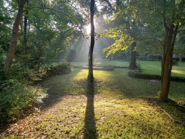 istock Labor Day morning East Tx 1312127740
