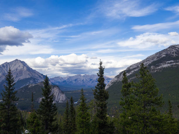 istock high angle view of the mountains with clouds and pine trees 1312129340