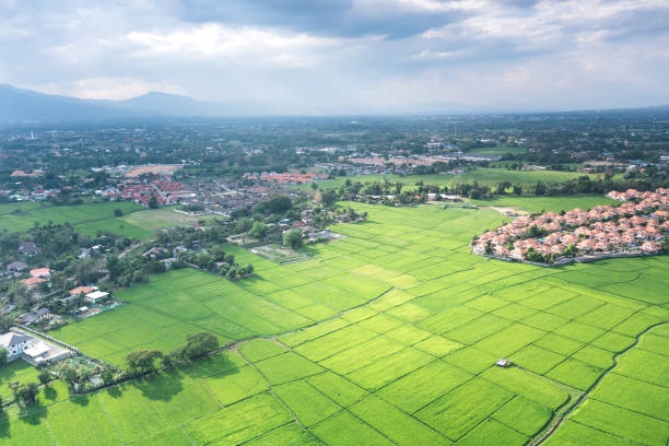 istock Land plot and green field in aerial view. 1312129547