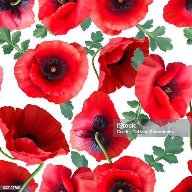 Poppy Pattern Vector Poppy Seamless Pattern Stock Illustration - Download Image Now ...