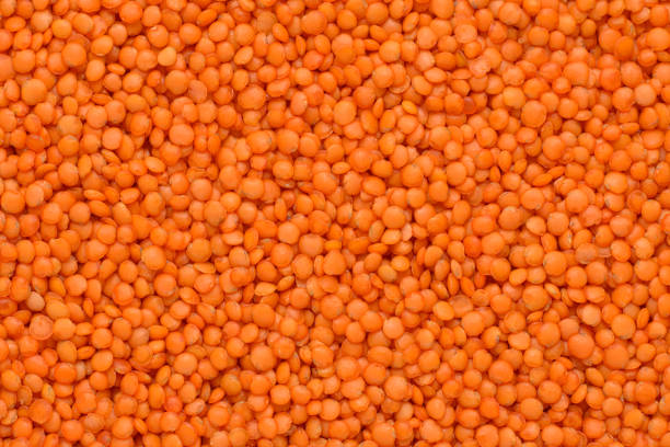 Close-up of red lentil seeds not cooked.