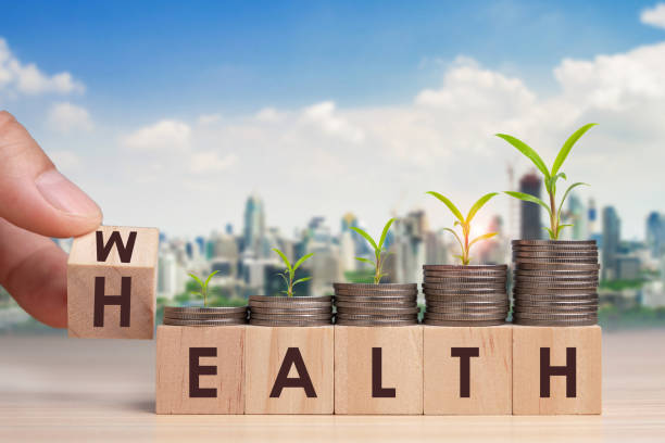 istock Hand flip wooden cube with word wealth to health with coins stack step up growing growth value. Investment in life insurance and healthcare concept 1312134487