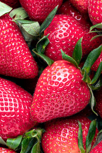istock fresh strawberries, textured red background, macro photography. Fresh berry 1312135781