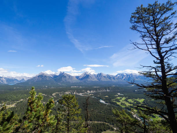 istock high angle view of the mountains with clouds with a pine tree 1312135839