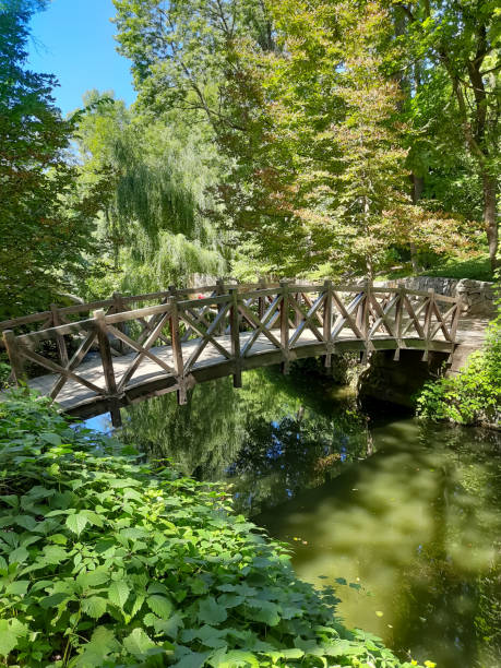 istock Bridge over the river in the park. 1312137203