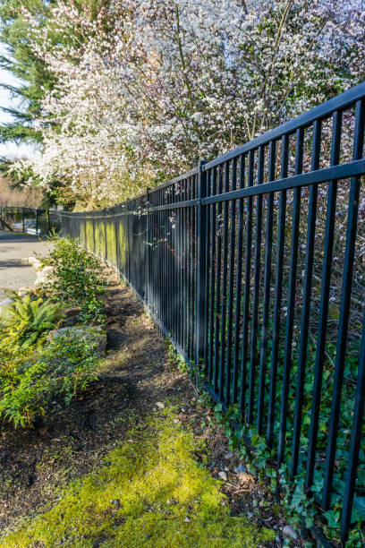 istock Botanical Garden Fence 2 1312139363
